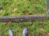 image of grave number 723897